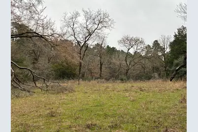 Tbd Fcr 240, Fairfield, TX 75840 - Photo 8