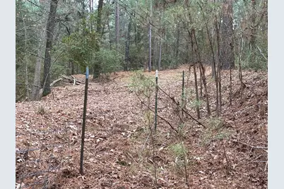 Tbd Fcr 240, Fairfield, TX 75840 - Photo 22