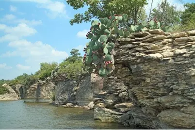 203 Evans Street, Bridgeport, TX 76426 - Photo 4