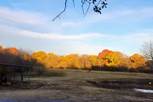 4874 Luella Rd, Sherman, TX 75090 - Photo 38