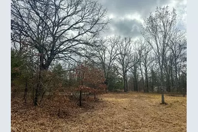 9696 Fm-515, Alba, TX 75410 - Photo 14