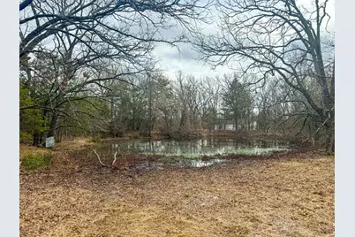 9696 Fm-515, Alba, TX 75410 - Photo 16