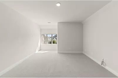 2624 Cone Flower Street, McKinney, TX 75071 - Photo 24