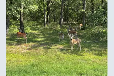 6707 Anchor Point, Quinlan, TX 75474 - Photo 40