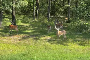 6707 Anchor Point, Quinlan, TX 75474 - Photo 40