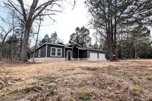 138 Pvt Road 8524, Van, TX 75790 - Photo 2