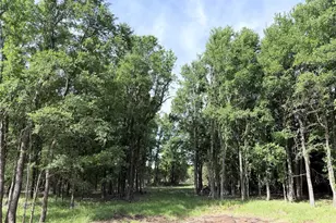 Lot 14 Lakewood Dr, Whitney, TX 76692 - Photo 1