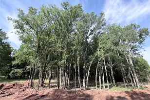 Lot 15 Lakewood Dr, Whitney, TX 76692 - Photo 1