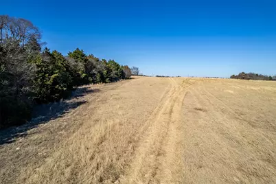 Tbd Fm 2339, Murchison, TX 75778 - Photo 22