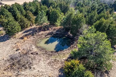 Tbd Fm 2339, Murchison, TX 75778 - Photo 14