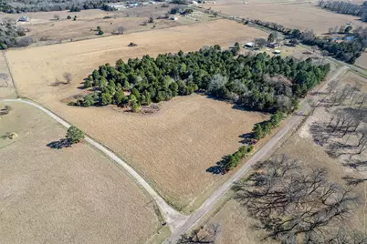 Tbd Fm 2339, Murchison, TX 75778 - Photo 6