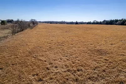 Tbd Fm 2339, Murchison, TX 75778 - Photo 8