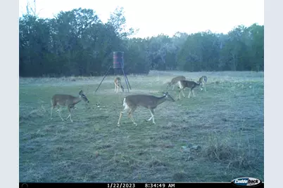 Tbd County Road 2440, Iredell, TX 76649 - Photo 26