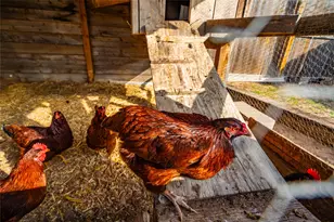 102 FM1750, Abilene, TX 79602 - Photo 32