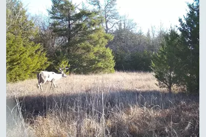 24200 County Road, Roxton, TX 75477 - Photo 4