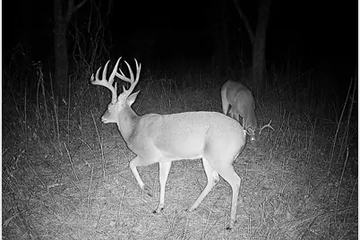 24200 County Road, Roxton, TX 75477 - Photo 8