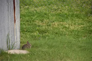 312 E Tripp Rd, Sunnyvale, TX 75182 - Photo 34