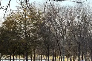 1218 Joly St, Ennis, TX 75119 - Photo 12