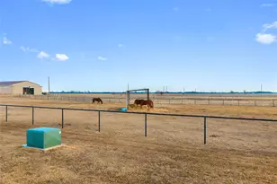 2290 Brooks Ln, Sadler, TX 76264 - Photo 10