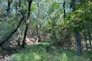 Tr 4-A Cr 41514, Athens, TX 75751 - Photo 1