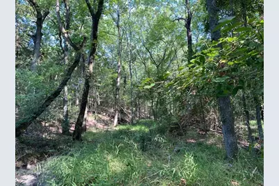 Tr 3-A Cr 41514, Athens, TX 75751 - Photo 4