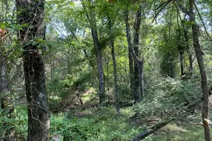 Tr 3-A Cr 41514, Athens, TX 75751 - Photo 1