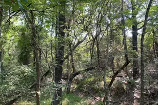 Tr 3-B Cr 41514, Athens, TX 75751 - Photo 1