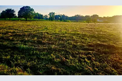 Lot2 County Road 3541, Saltillo, TX 75478 - Photo 4