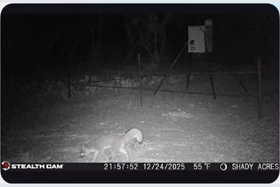 8108 Fm2111, Winters, TX 79567 - Photo 28