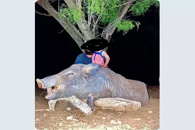 8108 Fm2111, Winters, TX 79567 - Photo 24