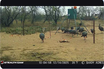 8108 Fm2111, Winters, TX 79567 - Photo 26