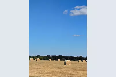 Tbd Fm 3486 #2, Terrell, TX 75160 - Photo 14