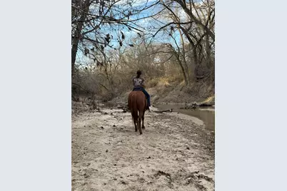 12201 Madison Lane, Justin, TX 76247 - Photo 40