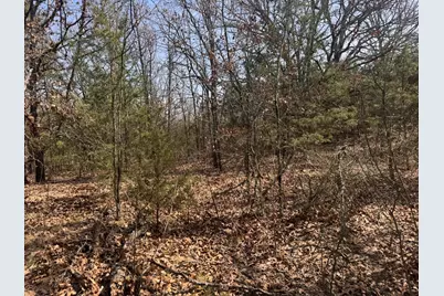 6484 State Highway 56, Bells, TX 75414 - Photo 24