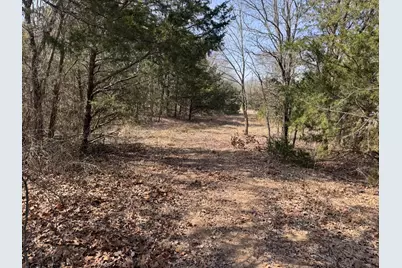 6484 State Highway 56, Bells, TX 75414 - Photo 22