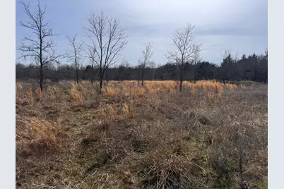 6484 State Highway 56, Bells, TX 75414 - Photo 2