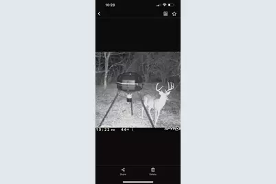 6484 State Highway 56, Bells, TX 75414 - Photo 38