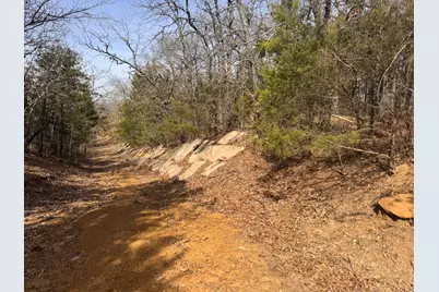 6484 State Highway 56, Bells, TX 75414 - Photo 30