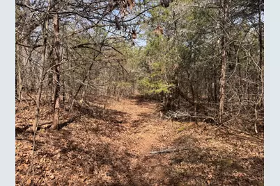 6484 State Highway 56, Bells, TX 75414 - Photo 32