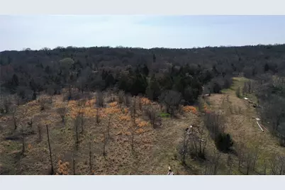 6484 State Highway 56, Bells, TX 75414 - Photo 4