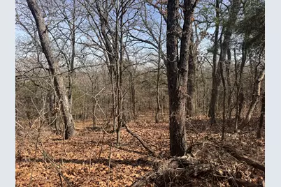 6484 State Highway 56, Bells, TX 75414 - Photo 28