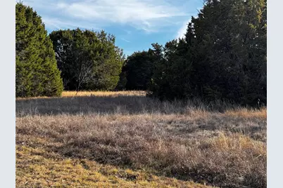 43096 Coneflower, Whitney, TX 76692 - Photo 4