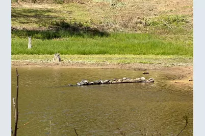 985 Indian, Quitman, TX 75783 - Photo 20