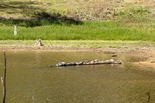 985 Indian Gap, Quitman, TX 75783 - Photo 20