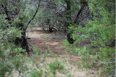 25052 Woodmont Court, Whitney, TX 76692 - Photo 6