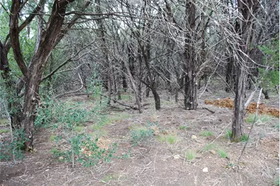 25052 Woodmont Court, Whitney, TX 76692 - Photo 16