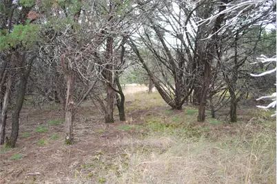 25052 Woodmont Court, Whitney, TX 76692 - Photo 10