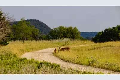 Tbd Fortune Bend Road, Graford, TX 76449 - Photo 20