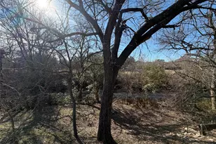 2204 W Park Blvd, Plano, TX 75075 - Photo 26