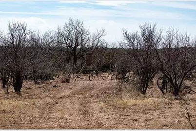 577 County Road 364, Miles, TX 76861 - Photo 28